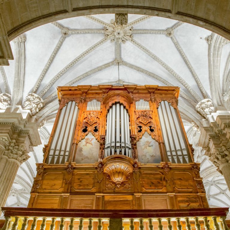 20110412_Catedral de Guadix (34)